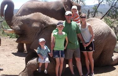 Family Elephant Interaction